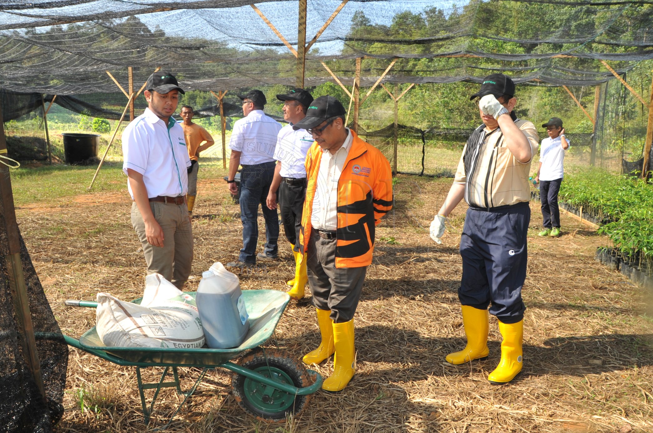 PRO 14 48 KARAS PRO 6724